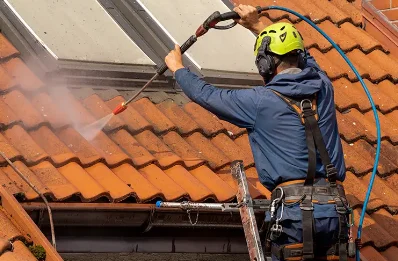 Démoussage et hydrofuge de toiture à Roure